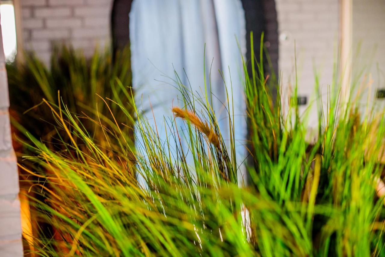 Gastenverblijf Zomerdijk Meppel Exteriér fotografie
